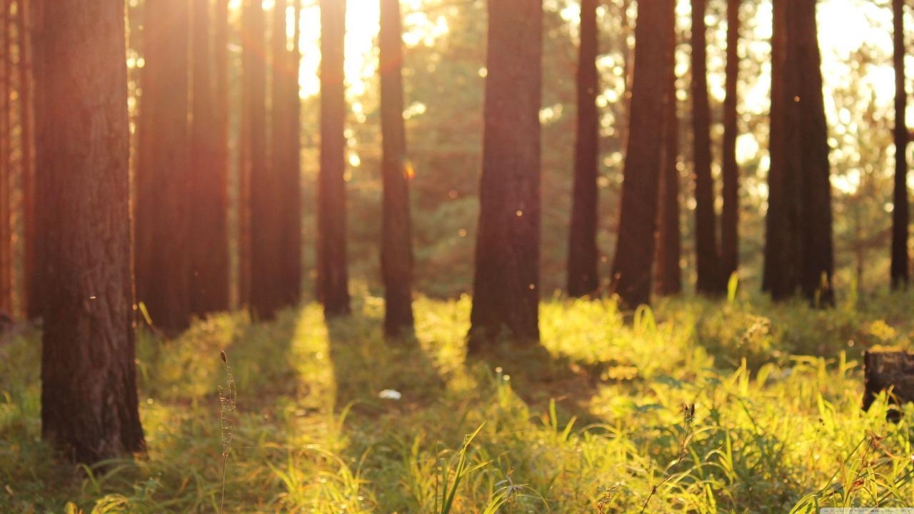 Warm Nature Wallpapers - Top Free Warm Nature Backgrounds - WallpaperAccess Warm Nature Wallpapers - Top Free Warm Nature Backgrounds - WallpaperAccess