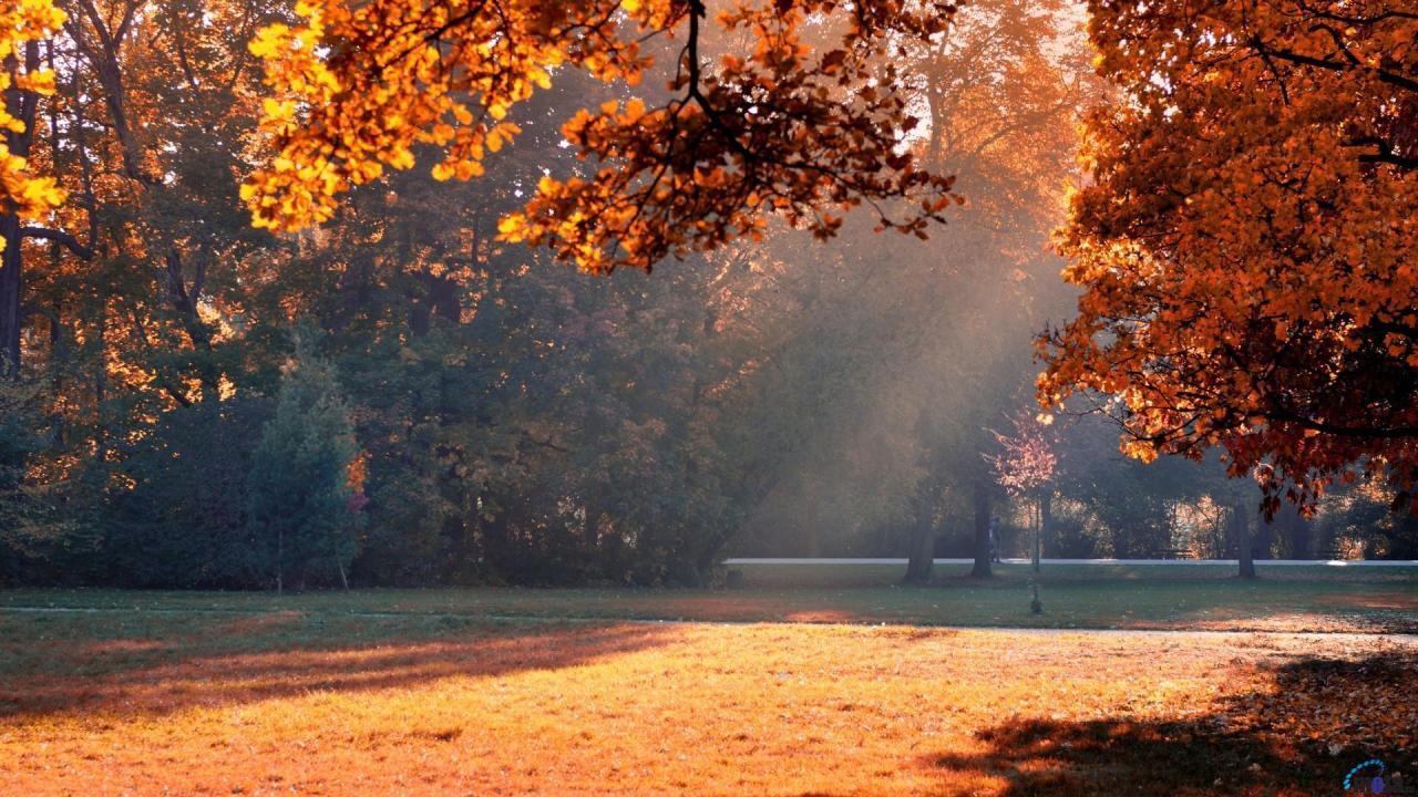 Warm Wallpapers - Top Free Warm Backgrounds - WallpaperAccess Warm Wallpapers - Top Free Warm Backgrounds - WallpaperAccess