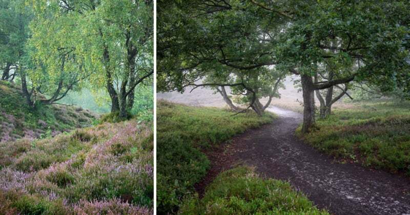 7 Tips for Creating a Sense of Depth in Your Landscape Photos | PetaPixel 7 Tips for Creating a Sense of Depth in Your Landscape Photos | PetaPixel