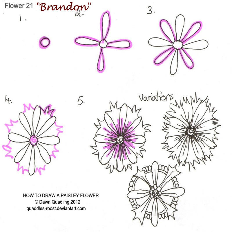 How to draw Paisley Flower 21 Brandon by Quaddles-Roost on DeviantArt How to draw Paisley Flower 21 Brandon by Quaddles-Roost on DeviantArt