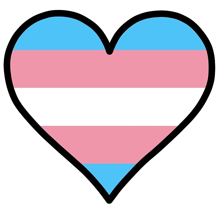 Jetten Custom Jetten Custom